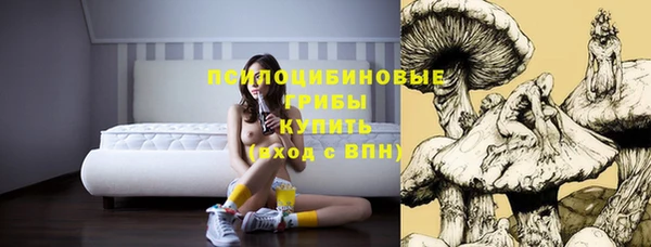 спиды Нягань