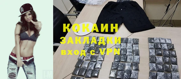 прущие грибы Тихвин