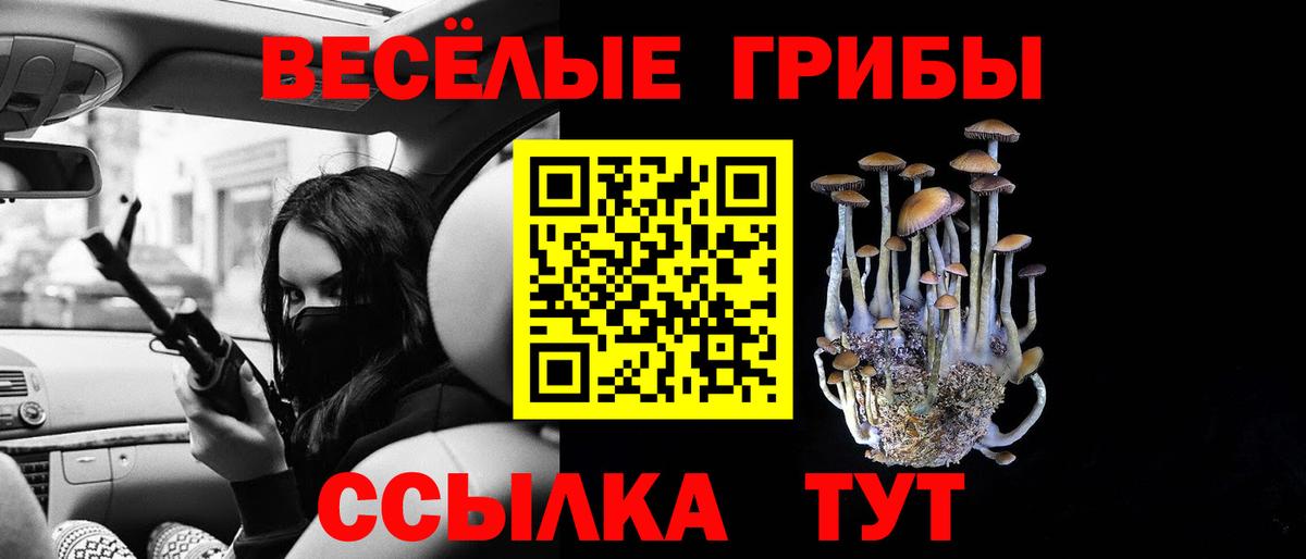 Галлюциногенные грибы Psilocybine cubensis  Барнаул 