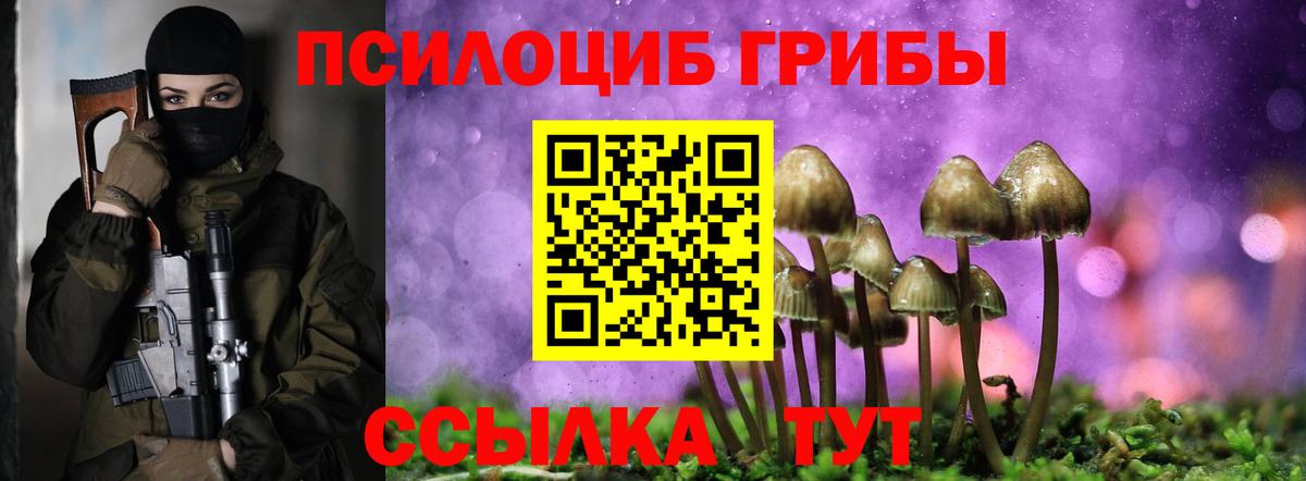 Галлюциногенные грибы Psilocybe  Вход с VPN  Барнаул  Псилоцибиновые грибы Cubensis 